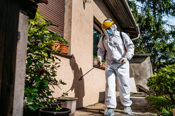 Best Mosquito Control Services  in Huntgburg, IN
