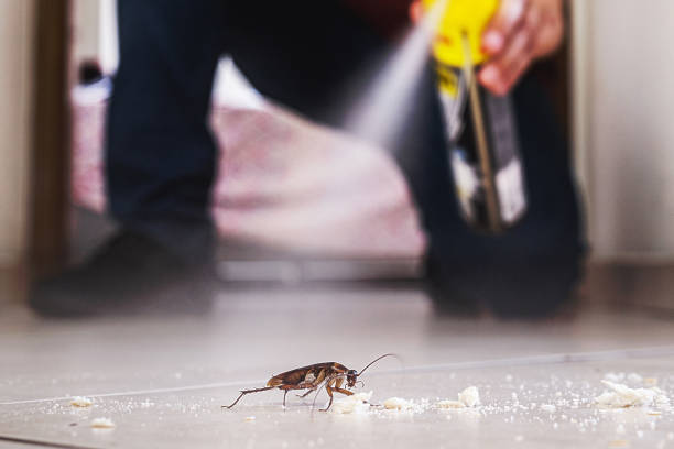 Best Flea Control Services  in Huntgburg, IN